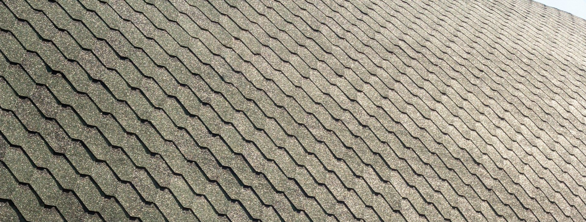 Faz Roofing & Renovations 